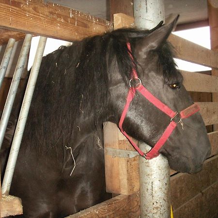 Ferienhof Woelflbauer Saalbach-Hinterglemm Eksteriør bilde